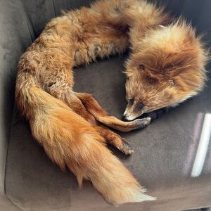 Genuine Vintage Red Fox Fur Stole - Classic Fox Fur Scarf